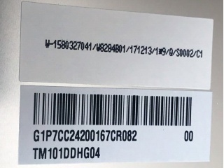TM101DDHG04